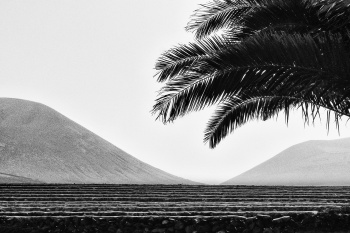 40-Mont-de-Marsan_Pascale-Tabarly-LA_GERIA_LANZAROTE