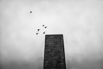 44-St-Nazaire_Robert-SIRET-6-pigeons