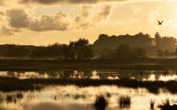31-Toulouse-Blagnac_Guillaume-Bru-Camargue